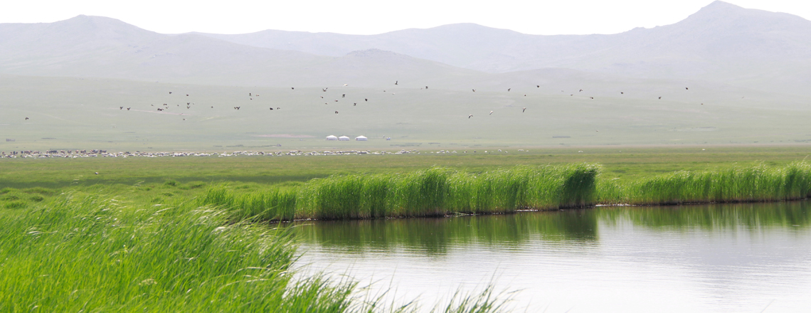 Гүн Галуутай 